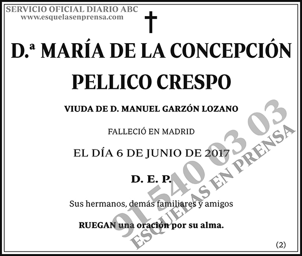 María de la Concepción Pellico Crespo